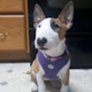 Meet your Posher, Miguel